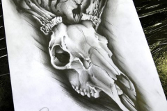 129_tayaz_tattoo_dessins