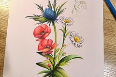 IMG_20241227_183926