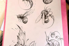 insectes