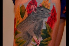 009_tayaz_tattoo_esthetique