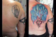 037_tayaz_tattoo_esthetique