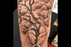 038_tayaz_tattoo_esthetique