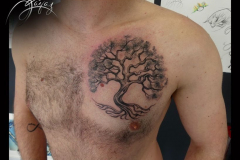 039_tayaz_tattoo_esthetique