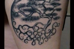 045_tayaz_tattoo_esthetique