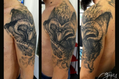 046_tayaz_tattoo_esthetique