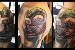 049_tayaz_tattoo_esthetique