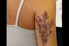 056_tayaz_tattoo_esthetique