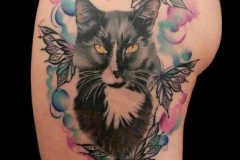 074_tayaz_tattoo_esthetique