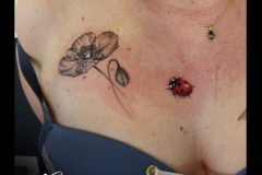 077_tayaz_tattoo_esthetique