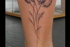 106_tayaz_tattoo_esthetique