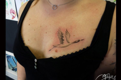 109_tayaz_tattoo_esthetique