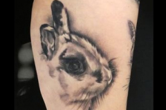 135_tayaz_tattoo_esthetique