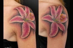 149_tayaz_tattoo_esthetique