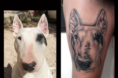 165_tayaz_tattoo_esthetique