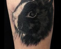 169_tayaz_tattoo_esthetique