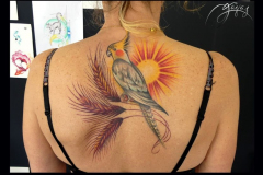 176_tayaz_tattoo_esthetique