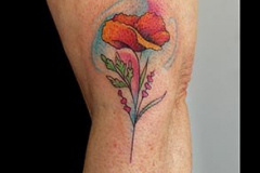 1_coquelicot-cathy
