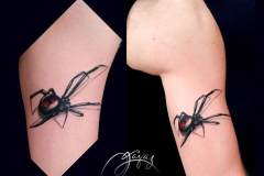 232_tayaz_tattoo_esthetique