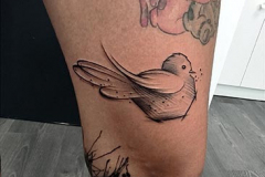 IMG_20240804_231748-Copie