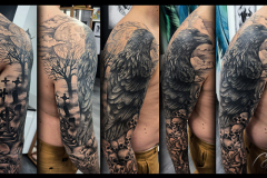 corbeau-jb
