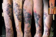 evelyne-arbre