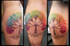 mathieu-arbre-chakra