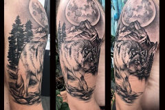 mathis-loup
