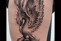 phoenix-stephane