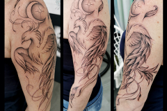 phoenix