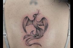 priscillia-phoenix