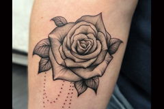 rose-lune