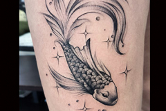 zia-poisson